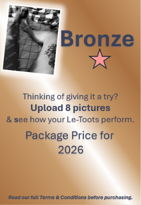 Bronze Package