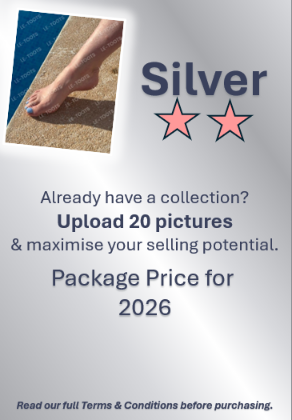 Silver Package
